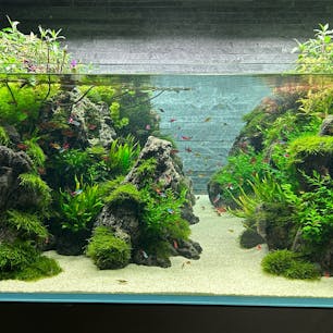 東京都墨田区にあるすみだ水族館