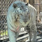 埼玉県宮代町にある動物園に行きました！
結構楽しい動物園でした！