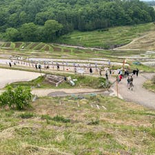 長野県上田市の信州亀齢の酒米植えの風景です。