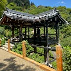 善峯寺の幸福地蔵尊

此の地蔵さんには、自分の事はお願いは出来ません、他の方の事に付いて、例えば世界平和とか、お友達の病気の事ですね、
俺等は戦争の無い世界と、お友達の宝くじが当たる様、お願いしました♪

#サント船長の写真　#京都が熱い