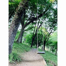 いばらきフラワーパーク@茨城県

花の開花時期でなくても、ゆったり自然を堪能できます。