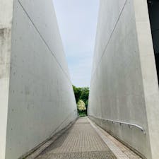 大阪
大阪府立　近つ飛鳥博物館

大階段が素敵
安藤忠雄さん設計