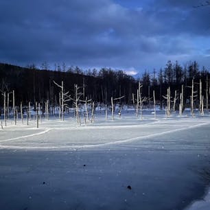 青い池/北海道