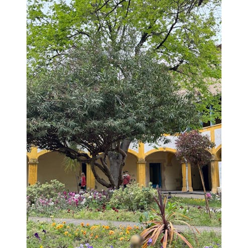 エスパース・ヴァン・ゴッホ（アルル病院の庭 跡地）