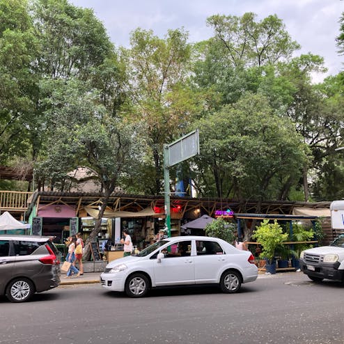 ローマ・ノルテ