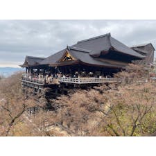 東大寺
#202401 #s京都