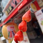 🇰🇷 韓国・ソウル（明洞）
　　王家　탕후루

見た目も可愛いタンフル（フルーツ飴）
一口噛むと少し酸味のある果汁と甘い飴が混ざり合って、本当に美味しかったです。
フルーツの種類も多く、いちご、みかん、ぶどう、プチトマト、メロン、パイナップルなどがあったと思います。
違う種類をミックスしているものもありました。
初日と最終日に食べにいきましたが、この店の冷えたタンフルは口当たりもよく、何度でも食べたくなる美味しさでした。
次回渡韓した際にも、かならず訪れたいと思います。

#puku2'24
#puku2"05
#puku2🇰🇷大人女子2人旅
#韓国#ソウル#明洞#グルメ