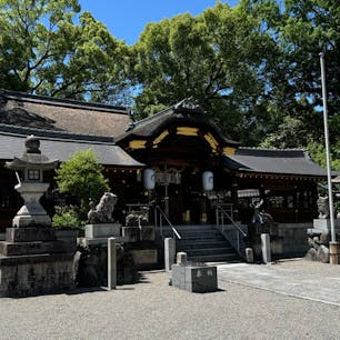立木神社
滋賀県草津市草津4-1-3

創建1250余年の歴史を有する古社。称徳天皇の時代に、常陸国（茨城県）の鹿島神宮におられた武甕槌命（たけみかづちのみこと）が旅の途中にこの地に立ち寄り、柿の鞭を刺したところから柿の木が生え、この木を崇めて神殿を建て、社名を立木神社と称したのが始まりと伝わる。

#サント船長の写真