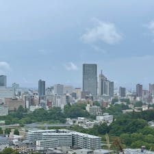 仙台を一望できます！個人的にポケモンGO仙台の限定背景の撮影スポットだったので胸熱でした！