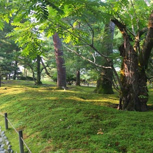 日本三名園の一つ兼六園。
これからの季節、緑眩しい庭園と陽差しに輝く水辺、鏡のように水面に映る景色、大地に根を張る根の力強さ、見どころいっぱいの庭園は散策が楽しい。


#兼六園 #日本三名園 #olive #石川県