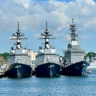横須賀港
こちらではYOKOSUKA軍港めぐりというクルーズがあります。アメリカ海軍や海上自衛隊の艦船を間近で見ることができるようです。私は1日かけて船でここに入港してきたので乗りませんでしたが。この写真はヴェルニー公園から撮ったものです。すごい望遠レンズのカメラで撮影されてる方が何人もいらっしゃいました。
