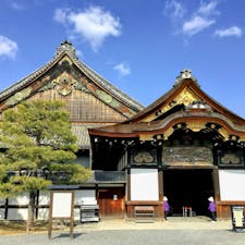 京都　二条城

見どころたくさん