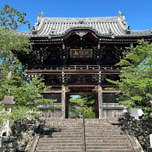 粉河寺
和歌山県紀の川市

西国三番札所厄除観音
広い境内は需要文化財が多く、とても見応えがあります。
仏足石（お釈迦様の足跡を掘った石など）や身代わり地蔵尊、赤門等とにかくお勧めしたいお寺です。
こちらも県民には馴染み深いお寺です。