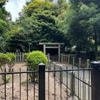 大津皇子御墓

二上山雄岳山頂すぐに
宮内庁が管理されている大津皇子御墓が
ありました。
ここも歴史を感じさせる場所でした。
2024.6.2