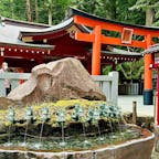 九頭龍神社新宮
箱根神社の境内にあり、本宮と同じく九頭龍神がお祀りされています。9つの龍の口から湧き出る水は龍神水と呼ばれ、恋愛運など運気アップの後霊水として有名で、ペットボトルに入れて持ち帰ることもてきます。