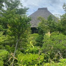 瑞光寺　京都伏見

明暦元年(1655)、江戸時代初期の日蓮宗を代表する高僧・元政上人が草庵を結んだことに始まる寺。上人が竹を好んだことから「竹葉庵」とも称される。境内には、縁結び・縁切り祈願の「元政上人の御廟(三本竹の墓)」や財宝の神様「白龍銭洗弁財天」など見どころも多い。また春にはしだれ桜やソメイヨシノが見事に咲き誇り訪れた人々の目を楽しませている。

#サント船長の写真　#京都伏見