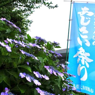 2024年6月24日から7月9日まで、黒羽城址公園で「芭蕉の里くろばね紫陽花まつり」が開催されます。



#栃木県 #黒羽城址公園 #芭蕉の里