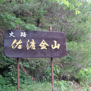 行くべき！

日曜の15:00ごろに行ったが、そんなに人もおらずほぼ貸切状態

坑道内は薄暗く、どこかゾッとする感じ

でも、金が掘れた場所と思うとなんかワクワク

特に「道遊の割戸」は見てほしい
人力で割れたんだって。金を求めた人々の執念たるやすごいものだ。

あと金箔ソフトも思い出にぜひ
金箔は思ったより微々たるものだったけど、
ソフトクリームが濃厚でとても美味しかった

そもそも「佐渡島に5時間ぐらいしか滞在できない&車ない」という事情から、行く場所が限られる状況
そんな中、選んだのが佐渡金山
そこそこバス出てる(ただ片道1時間半ぐらいかかる)&有名という理由で選びました

同じ状況の方は、ぜひ佐渡金山へ！