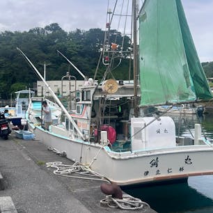 西伊豆で釣り🎣
イサキとアジとソーダガツオ
全部で55匹くらい釣れた🐟