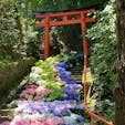京都　柳谷観音

階段紫陽花と風船
とても綺麗な景色