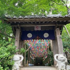 20240608
福岡　小郡　如意輪寺　かえる寺

かえる寺として有名な如意輪寺
テーマパークのようで子供達が楽しそうにしてました