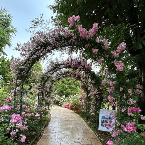 河口湖音楽と森の美術館(旧河口湖オルゴールの森美術館)