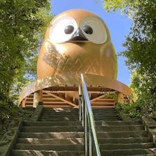 栃木県と茨城県の県境に建つ、珍しい神社「鷲子山上神社」⛩️

古くからフクロウが崇敬され、境内には日本一大きなフクロウ（不苦労）像があります🦉

そのほかにも境内にはたくさんのフクロウの石像や木彫り、置物があり、楽しく参拝できます😊

苦労を運び去り、幸福を呼ぶフクロウをぜひ参拝してみて下さいね✨
