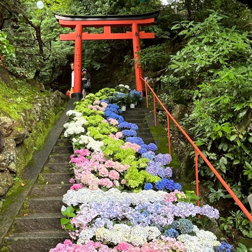 柳谷観音（楊谷寺）