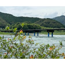 周りを山で囲まれ民家も少ない為、聞こえるのは川を流れる水の音と野鳥のさえずり、風が揺らす草木の葉が擦れる音だけ
四万十川の清流も綺麗で、そこに架かる沈下橋の風景は穏やかな気持ちになります