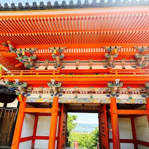 紀州東照宮
和歌山市

先の画像と似ていますが、こちらは東照宮のほうです。
同じ敷地では無く、天満宮から一旦公道を5分ほど歩くと東照宮に着きます。こちらの山門からも和歌浦の景色が眺望できます。
境内は見どころが大変多いです。

紀州藩初代藩主で徳川家康公の十男である徳川頼宣公により父家康公を祀り、天下泰平と人々の安寧を願うために創建されました。