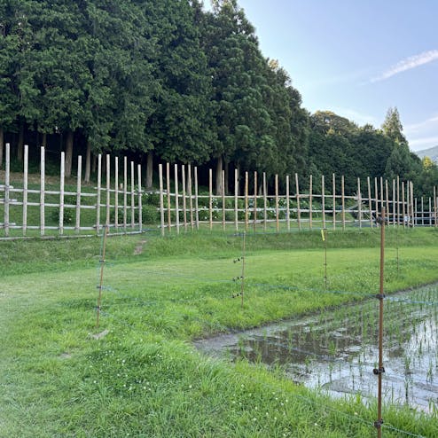 長篠·設楽原の戦い決戦場跡