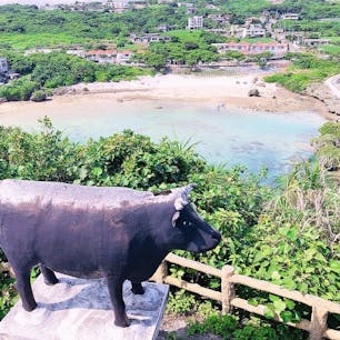2024.04.25

散歩がてらイムギャーへ
どこをみても海！ウミ！うみ！！！
今度はsupやってみいた(*´꒳`*)