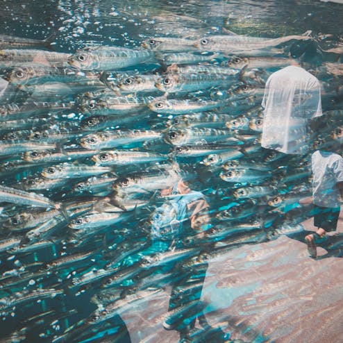 アクアマリンふくしま