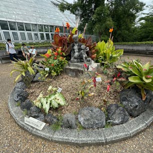京都府立植物園のカレー
不味くも無く、飛び切り美味しくもなく、極普通の食堂のカレーですね。そんなカレーが俺等は好きです😊

#サント船長の写真 #京都府立植物園