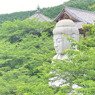 奈良　
壷阪寺

新緑と大仏
大仏は一つだけでは
ありません。