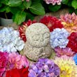 奈良県明日香村
岡寺
お地蔵さまがお花たちに囲まれて微笑んでいらっしゃいました。