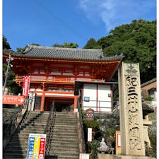 紀三井寺
和歌山市

（御詠歌）
『ふるさとをはるばるここに紀三井寺 花の都も近くなるらん』西国三十三所第2番札所。
桜の名所で、春は沢山の人々が訪れます。

参道に最近オープンしたハワイアンカフェ『GOLD Coffee』は人気すぎて平日でも大混雑！揚げたてのマラサダを食べれます。