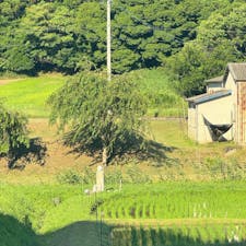 長篠設楽が原の戦い
天正3年5月21日、三河国長篠城をめぐって、織田信長・徳川家康連合軍3万8000と武田勝頼軍1万5000との間で行われた戦い。長篠設楽(ヶ)原の戦い（ながしの したら(が)はらのたたかい）とも呼ばれます。織田軍が新戦法・鉄砲三段撃ちを行った話で有名です。
#サント船長の写真