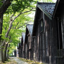 山形県の酒田方面を訪れたら必ず立ち寄る山居倉庫。
ここの佇まいが好きです。


#山形県 #酒田市 #山居倉庫