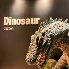 鳥取　倉吉
演劇劇場くらよしフィギュアミュージアム

ゴジラ
トラロープの虎
北斗の拳
バッドマンとジョーカー
太陽の塔と岡本太郎
ハイキュー

すべて精巧なフィギュア