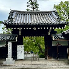 京都
廬山寺
源氏物語執筆地
京都御所のすぐ東隣に位置する紫式部邸宅址は、今、源氏物語にちなんだ桔梗が綺麗に咲いており、ゆっくりとお庭を拝見しながら物語の世界に浸ることができます。