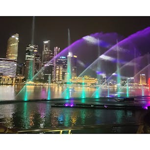 シンガポールの夜景
噴水ショースペクトラ

ガーデンズバイザベイの噴水ショーはギリ終了時間で残念😭