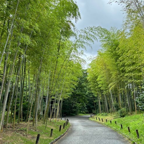 万博記念公園