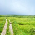 天空の湿原と言われる山形の月山弥陀ヶ原湿原は、池塘や高山植物など見所がとても多いです。


#山形県　#月山弥陀ヶ原湿原 #olive