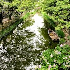 滋賀　八幡堀巡り

船とあじさい