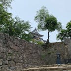 #彦根城 #琵琶湖