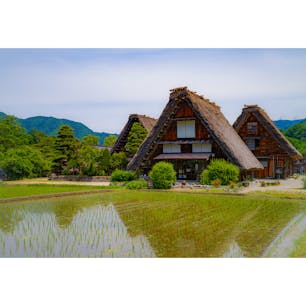 外人の観光客が多かったです