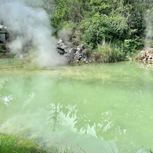 大分県別府市
地獄めぐり
白池地獄
噴出時は無色透明の熱湯ですが、池に落ちると温度と圧力の低下により自然と青白色を呈します。泉温95度。