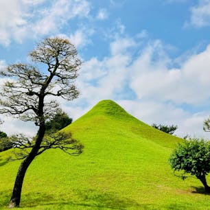 熊本　水前寺成趣園

本当に綺麗な回遊式庭園
帰りに水前寺もちをお土産に