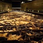 観光スポットとしては、とても地味だけれど、個人的には凄く惹かれたミュージアム。

「2万年前、この場所に人が生きていた証」をみて感動した場所。

#仙台市 #地底の森ミュージアム #宮城県